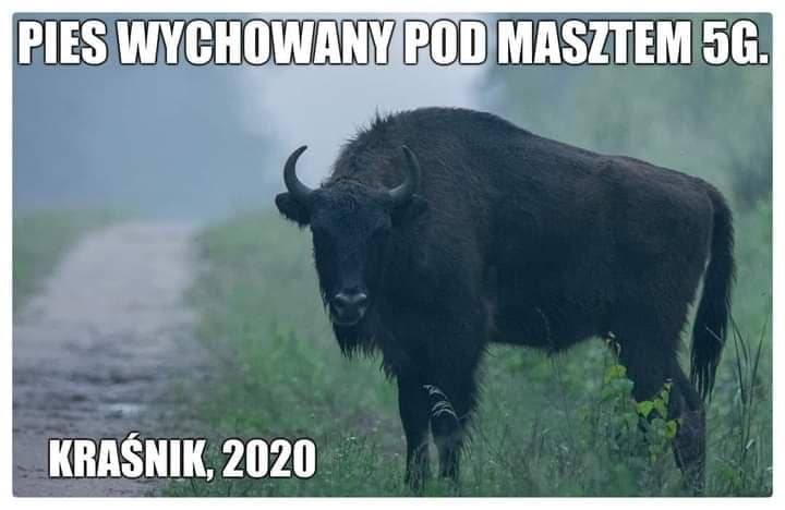 5G ma wielkie oczy? Powołano zespół do walki z fobiami i strachem przed najnowszą technologią