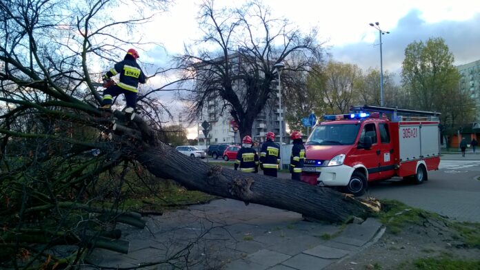 Fot. Marek Nowak Fot. Marek Nowak