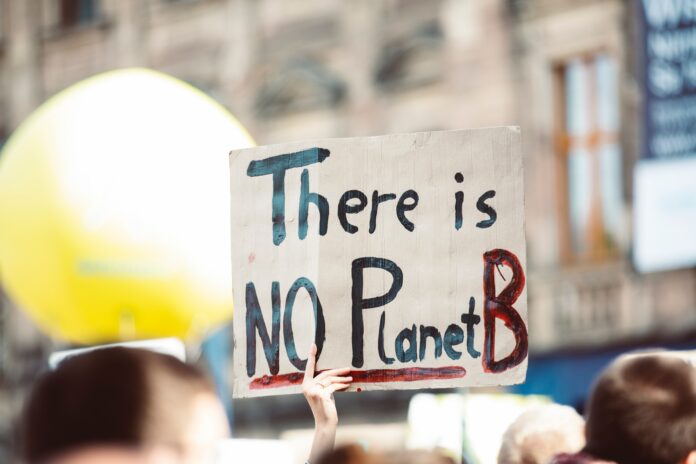 pexels-markus-spiske-2990650 protest klimatyczny