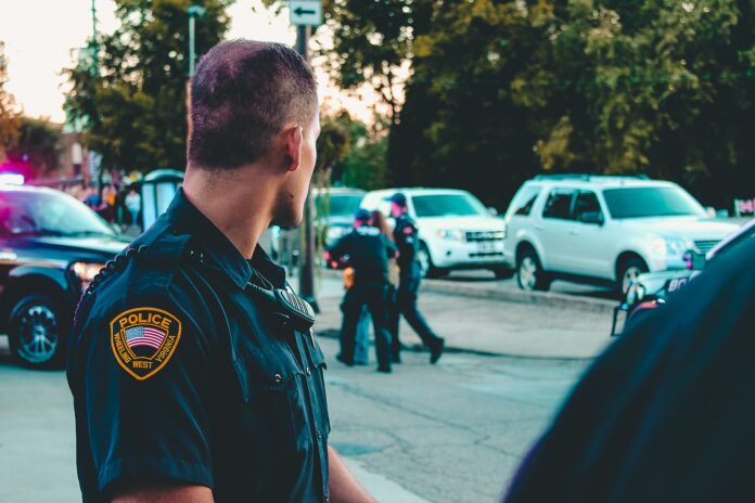 pexels-rosemary-ketchum-1464230 policja