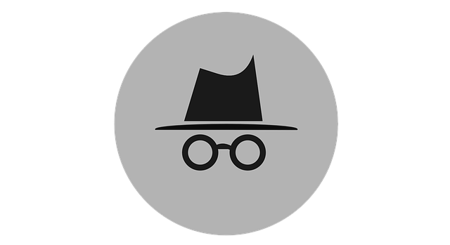 incognito-2231825_640