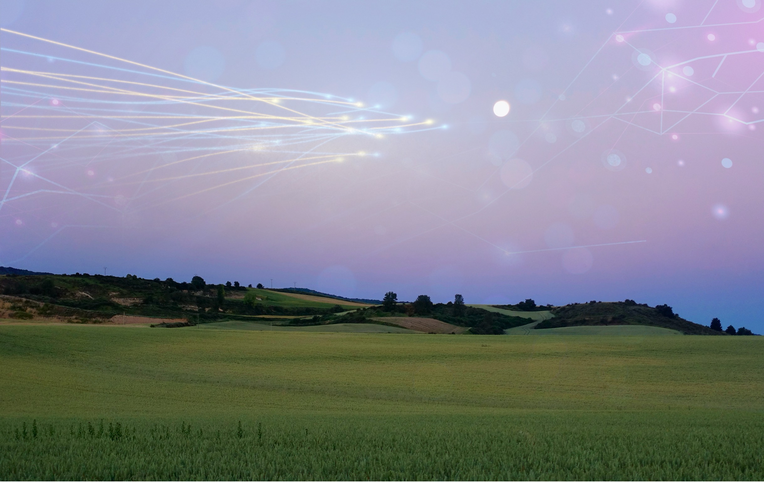 Projekt MDF uruchamia ofertę hurtową. Kto na tym zyska?