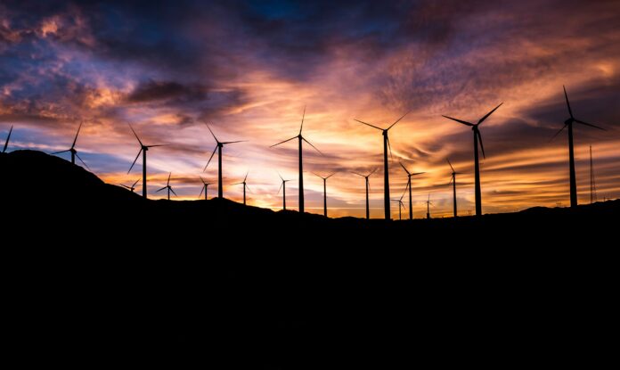 master-wen-AX-ma0j6elM-unsplash