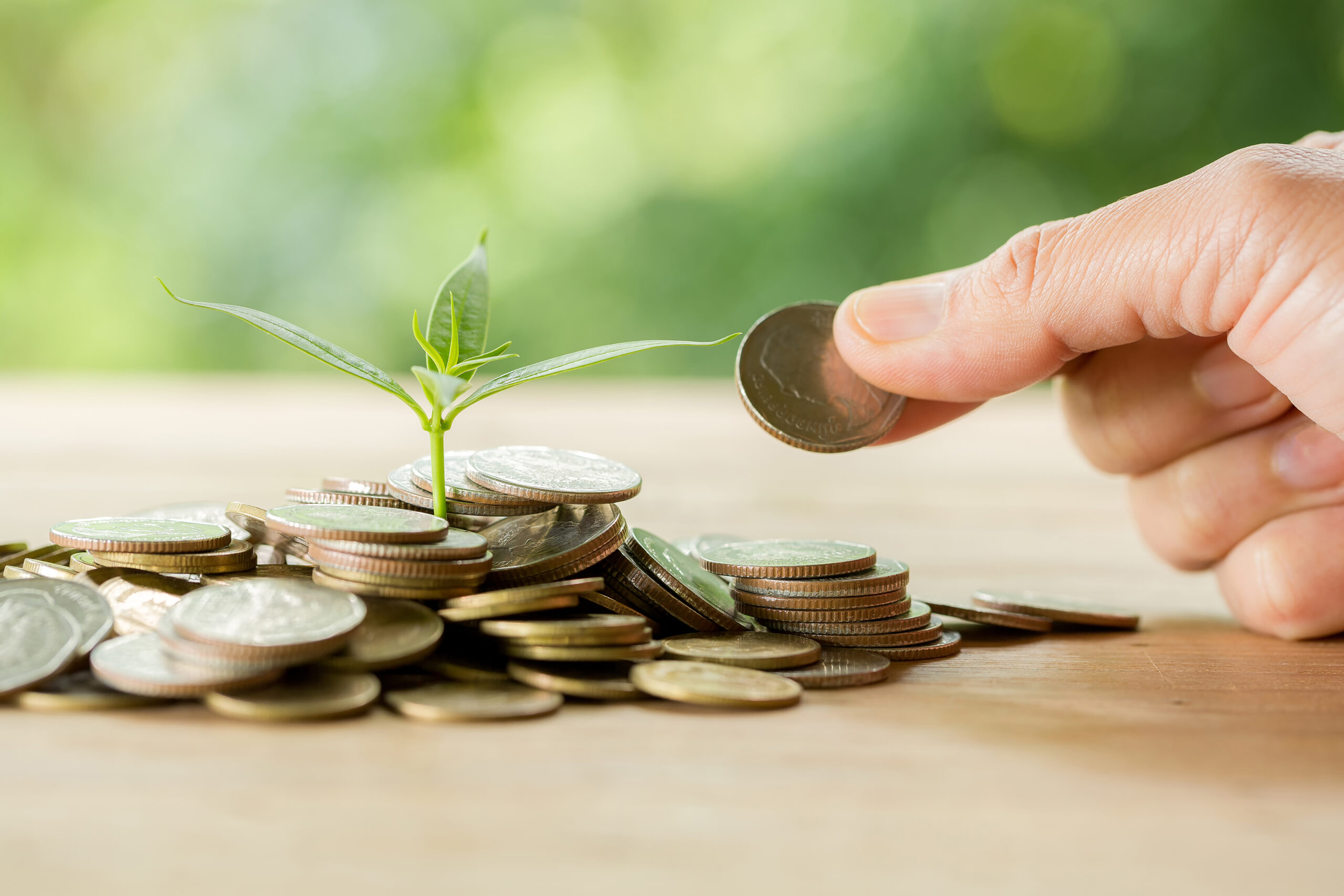 Gospodarka a MiŚOT – listopadowy komentarz ekspercki