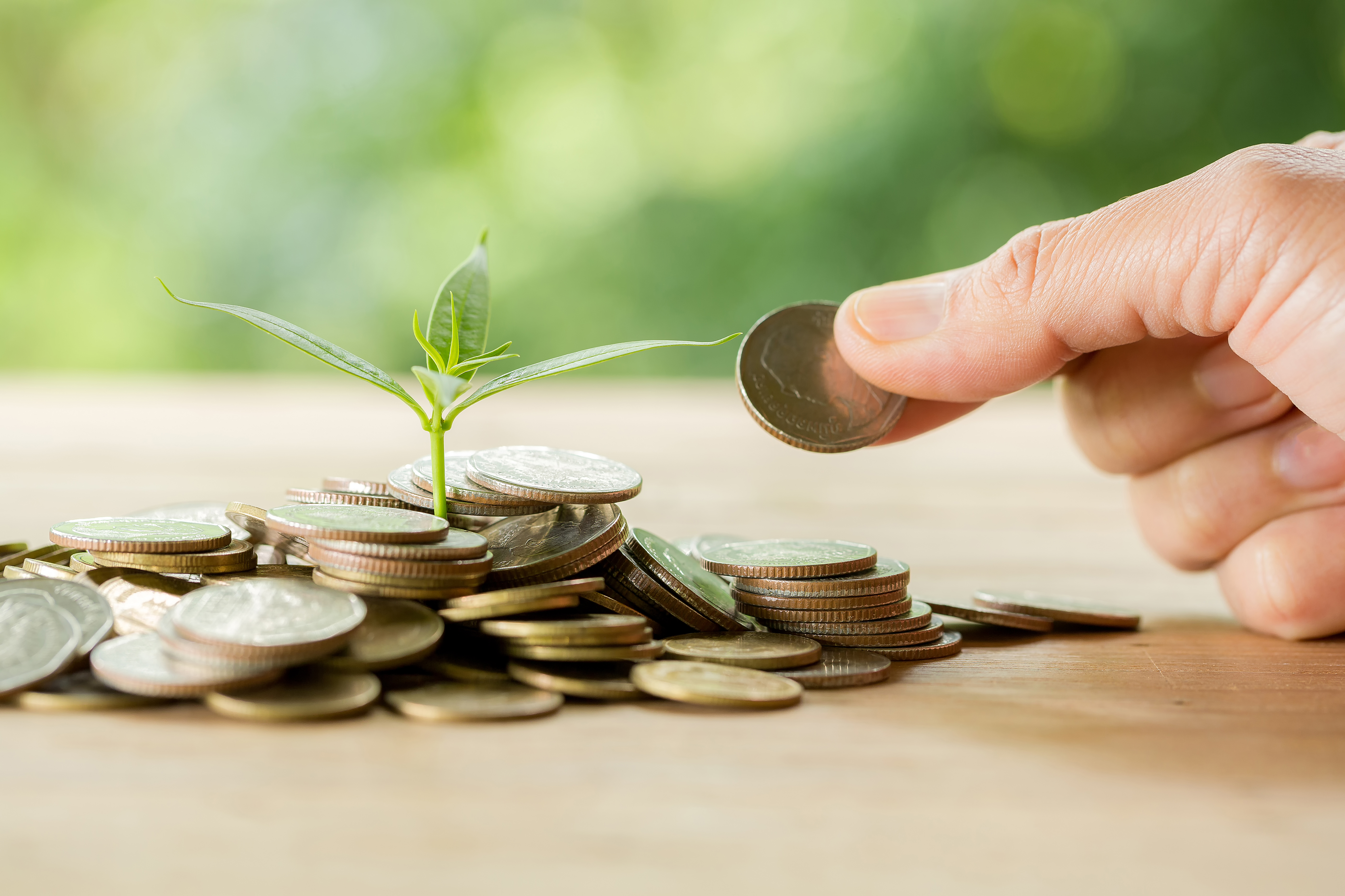 Gospodarka a MiŚOT – listopadowy komentarz ekspercki