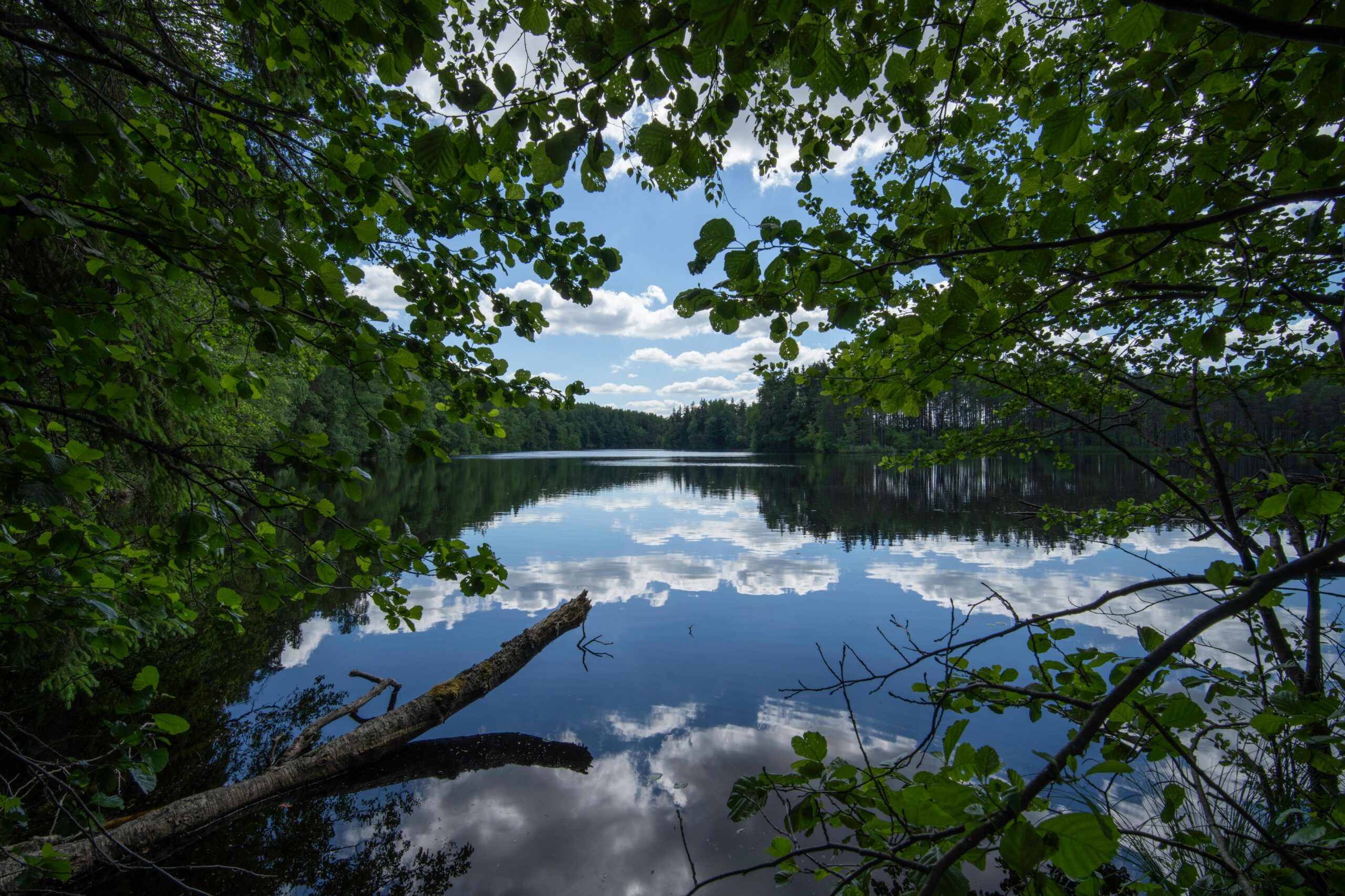 W Poznaniu poprowadzono światłowód przez użytek ekologiczny. Zabrakło wszystkich potrzebnych zgłoszeń