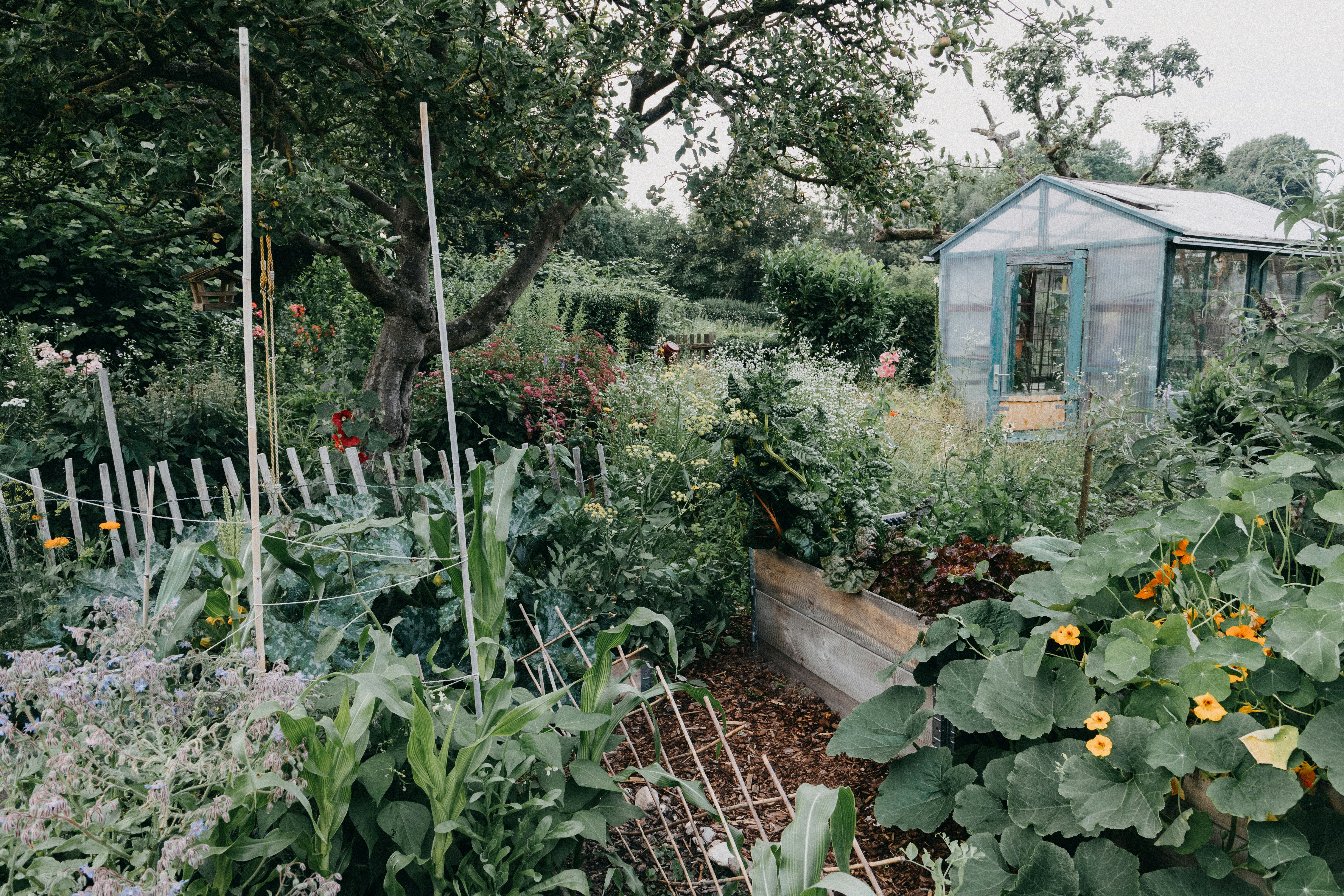 ROD – białe plamy konieczne do podłączenia internetu czy punkty, które operator może pominąć?